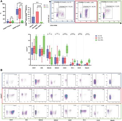 Characterization of natural killer and T cells in bronchoalveolar lavage and peripheral blood of sarcoidosis patients
